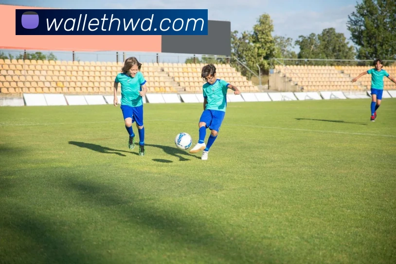 多媒体互动体验