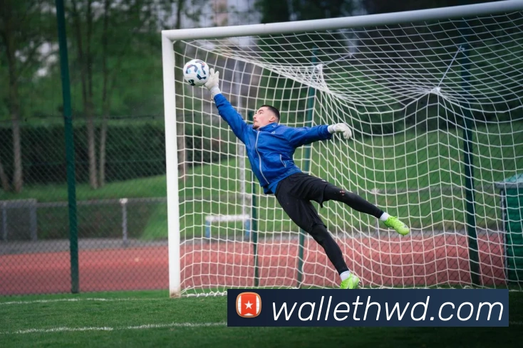 问鼎官网入口APP 高清赛事图